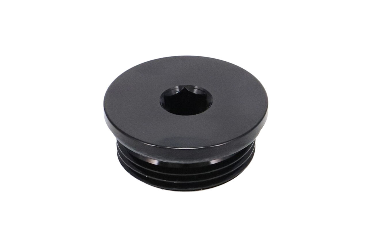 Raceworks AN-20 Hex O-Ring Boss Plug