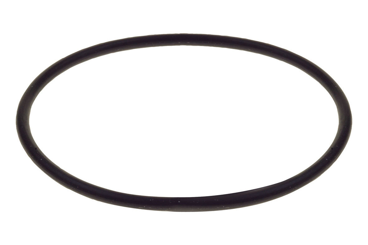 Replacement O-Ring For Raceworks Fuel Filter