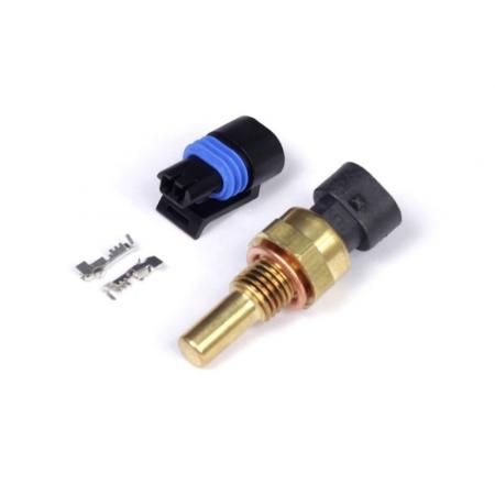Raceworks 1/8″ NPT / BSP Coolant / Fluid Temp Sensor