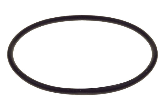 Replacement O-Ring For Raceworks Fuel Filter